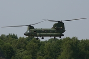 Royal Netherlands Air Force Boeing CH-47D Chinook (D-101) at  Kleine Brogel AFB, Belgium