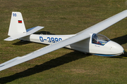 (Private) Schleicher Ka-8B (D-3999) at  Uelzen, Germany