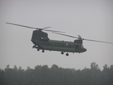 Royal Netherlands Air Force Boeing CH-47D Chinook (D-664) at  Kleine Brogel AFB, Belgium