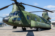 Royal Netherlands Air Force Boeing CH-47D Chinook (D-665) at  Fassberg AFB, Germany