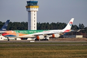 Lufthansa Technik Airbus A340-642 (D-AAAS) at  Schwerin-Parchim, Germany