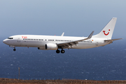 TUIfly Boeing 737-86J (D-ABAF) at  Tenerife Sur - Reina Sofia, Spain