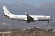 TUIfly Boeing 737-86J (D-ABAF) at  Tenerife Sur - Reina Sofia, Spain