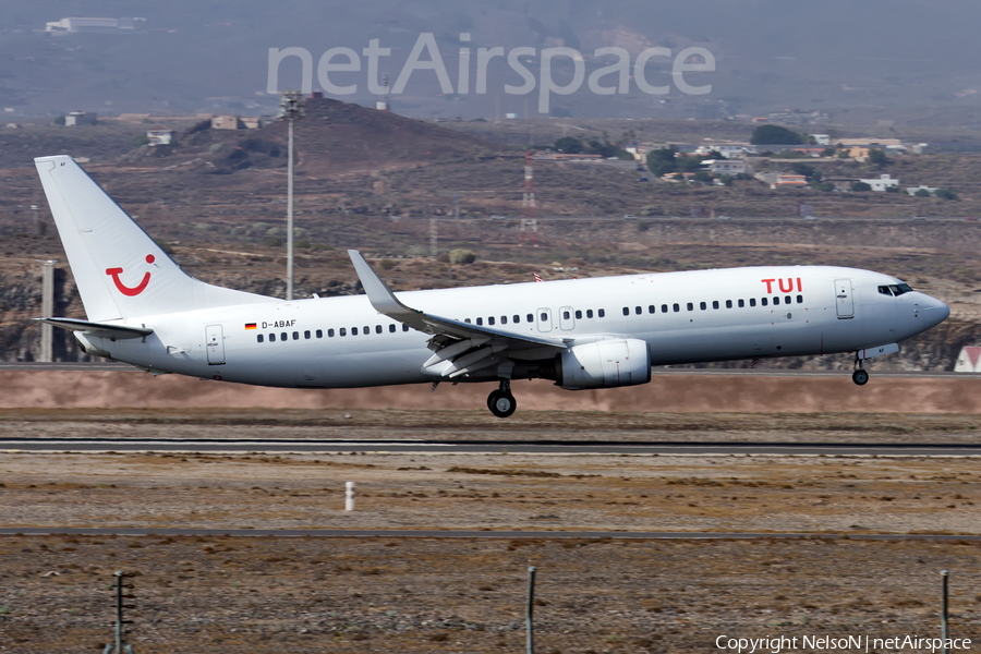 TUIfly Boeing 737-86J (D-ABAF) | Photo 476800