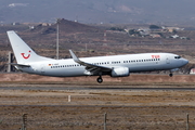 TUIfly Boeing 737-86J (D-ABAF) at  Tenerife Sur - Reina Sofia, Spain