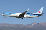 TUIfly Boeing 737-86J (D-ABAG) at  Tenerife Sur - Reina Sofia, Spain