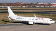 Air Berlin Boeing 737-86J (D-ABBD) at  Berlin - Tegel, Germany