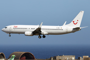 TUI Airlines Germany Boeing 737-86J (D-ABBD) at  Gran Canaria, Spain