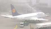 Lufthansa Boeing 737-330 (D-ABEB) at  Dusseldorf - International, Germany