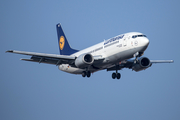 Lufthansa Boeing 737-330 (D-ABEC) at  Frankfurt am Main, Germany