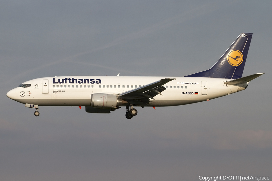 Lufthansa Boeing 737-330 (D-ABED) | Photo 437918