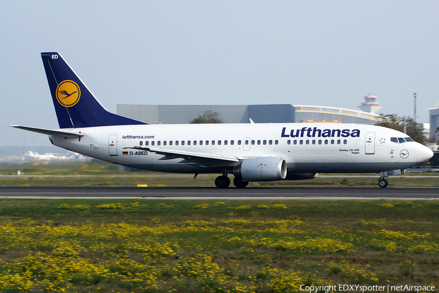 Lufthansa Boeing 737-330 (D-ABED) | Photo 382760
