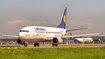 Lufthansa Boeing 737-330 (D-ABEF) at  Amsterdam - Schiphol, Netherlands