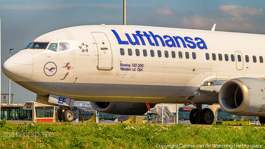 Lufthansa Boeing 737-330 (D-ABEF) | Photo 85645