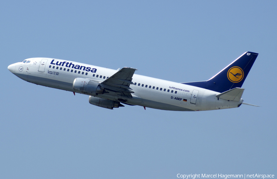 Lufthansa Boeing 737-330 (D-ABEF) | Photo 129481