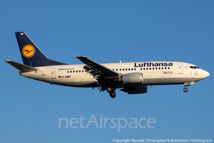 Lufthansa Boeing 737-330 (D-ABEF) | Photo 121918