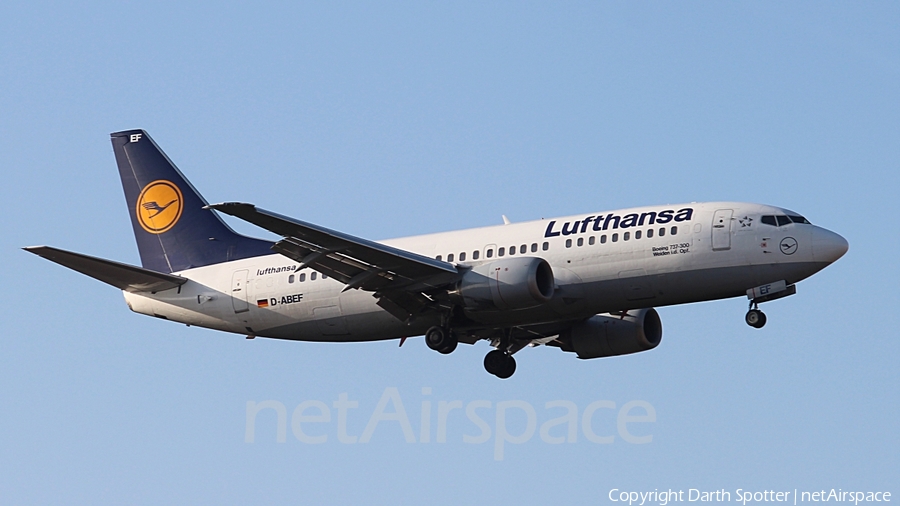 Lufthansa Boeing 737-330 (D-ABEF) | Photo 208402