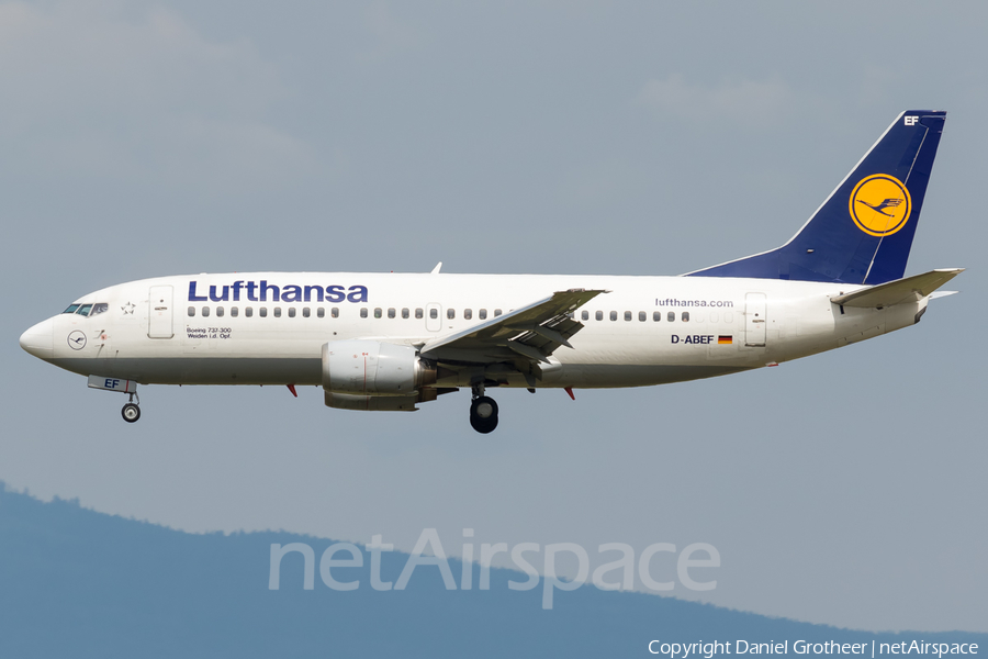 Lufthansa Boeing 737-330 (D-ABEF) | Photo 243627