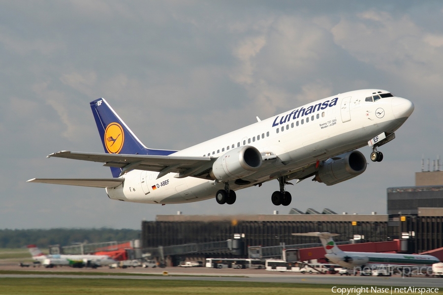 Lufthansa Boeing 737-330 (D-ABEF) | Photo 274496