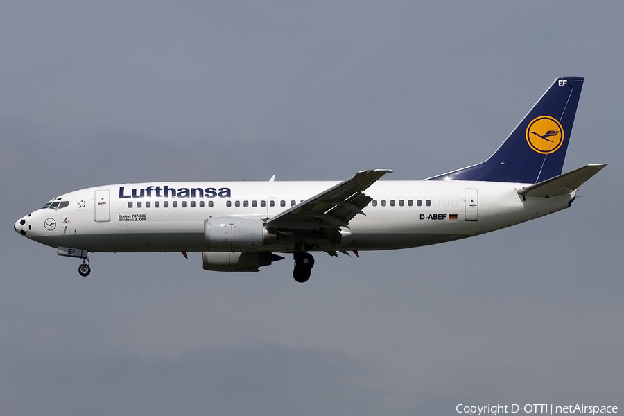 Lufthansa Boeing 737-330 (D-ABEF) | Photo 158177