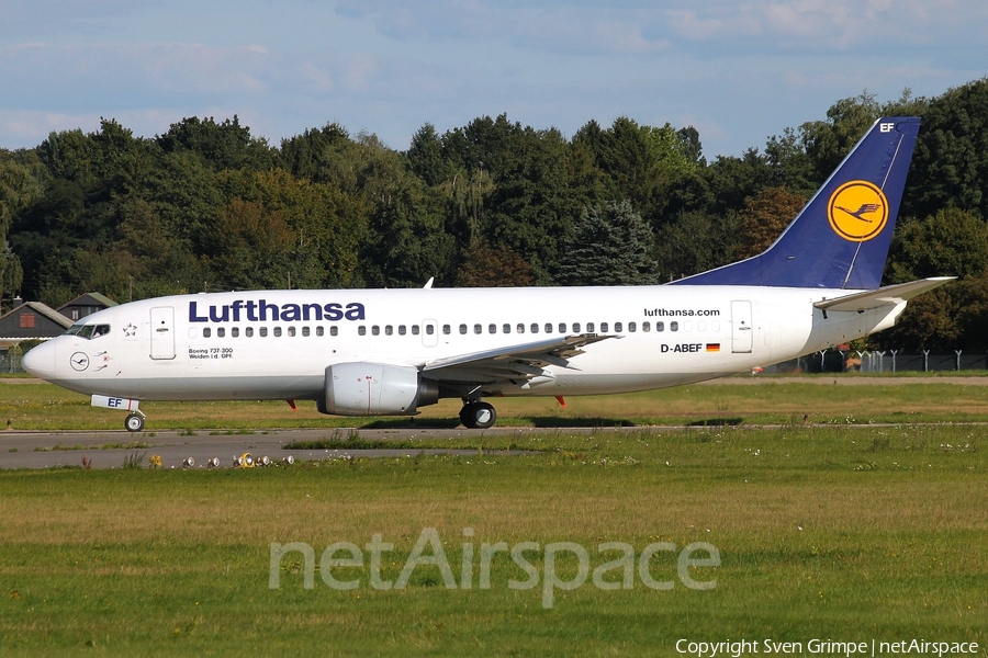 Lufthansa Boeing 737-330 (D-ABEF) | Photo 48748