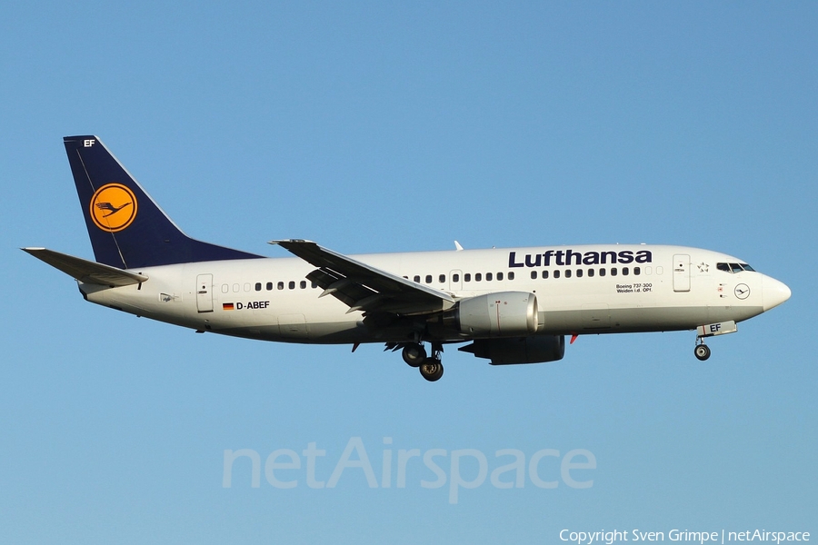Lufthansa Boeing 737-330 (D-ABEF) | Photo 48932