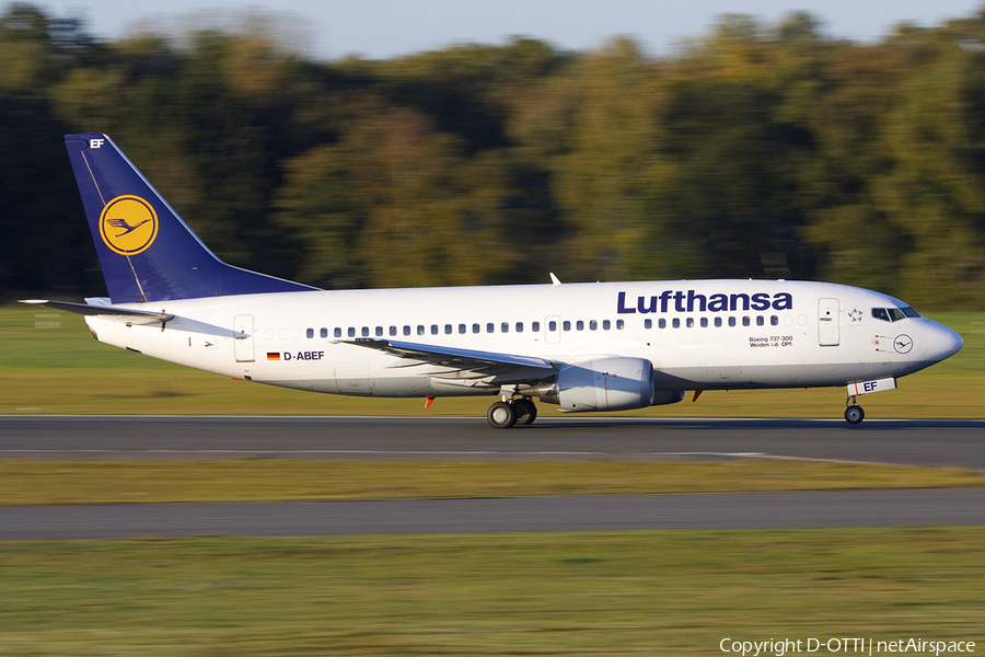 Lufthansa Boeing 737-330 (D-ABEF) | Photo 278553
