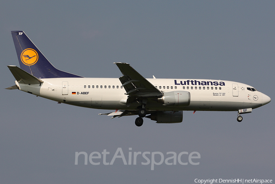 Lufthansa Boeing 737-330 (D-ABEF) | Photo 408317