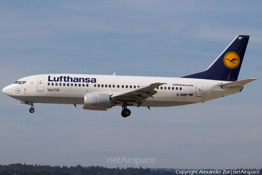 Lufthansa Boeing 737-330 (D-ABEF) | Photo 118967
