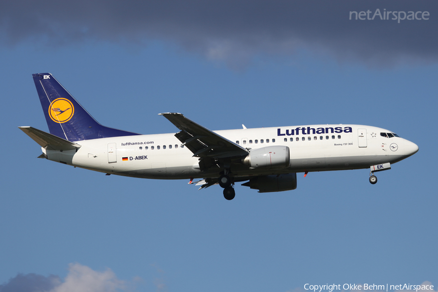 Lufthansa Boeing 737-330 (D-ABEK) | Photo 36674