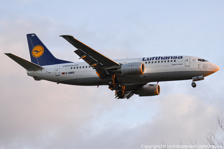 Lufthansa Boeing 737-330 (D-ABEK) | Photo 346854
