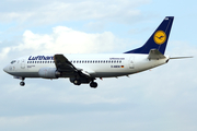 Lufthansa Boeing 737-330 (D-ABEW) at  Frankfurt am Main, Germany