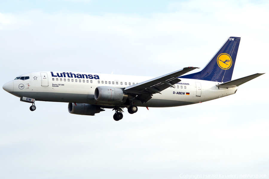 Lufthansa Boeing 737-330 (D-ABEW) | Photo 303206
