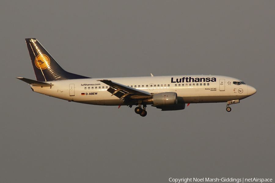 Lufthansa Boeing 737-330 (D-ABEW) | Photo 4010
