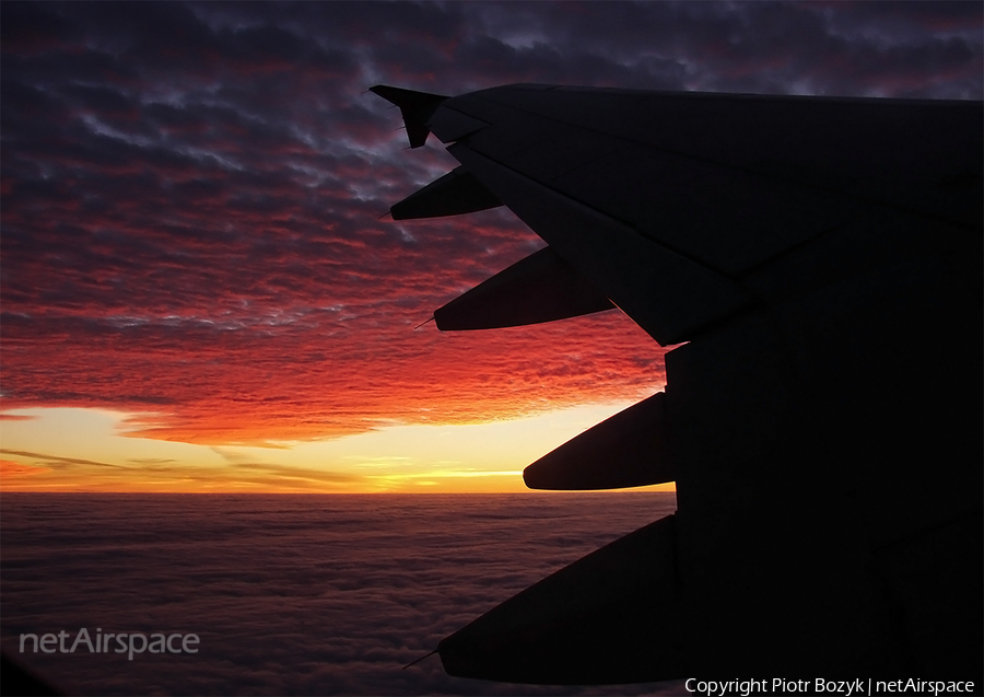 Air Berlin Airbus A319-112 (D-ABGN) | Photo 36072