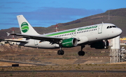 Germania Airbus A319-112 (D-ABGO) at  Tenerife Sur - Reina Sofia, Spain