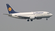 Lufthansa Boeing 737-530 (D-ABIA) at  Amsterdam - Schiphol, Netherlands