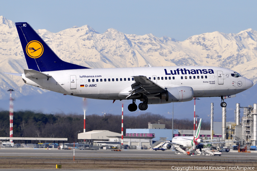 Lufthansa Boeing 737-530 (D-ABIC) | Photo 308676