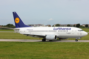 Lufthansa Boeing 737-530 (D-ABIE) at  Jersey - (States), Jersey