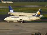 Lufthansa Boeing 737-530 (D-ABIF) at  Dusseldorf - International, Germany