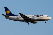 Lufthansa Boeing 737-530 (D-ABIF) at  Frankfurt am Main, Germany