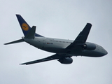 Lufthansa Boeing 737-530 (D-ABII) at  Dusseldorf - International, Germany
