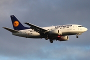 Lufthansa Boeing 737-530 (D-ABII) at  Hamburg - Fuhlsbuettel (Helmut Schmidt), Germany