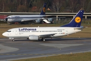 Lufthansa Boeing 737-530 (D-ABII) at  Hamburg - Fuhlsbuettel (Helmut Schmidt), Germany