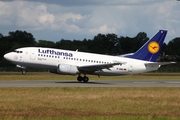 Lufthansa Boeing 737-530 (D-ABII) at  Hamburg - Fuhlsbuettel (Helmut Schmidt), Germany