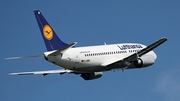 Lufthansa Boeing 737-530 (D-ABIK) at  Dusseldorf - International, Germany