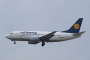 Lufthansa Boeing 737-530 (D-ABIK) at  Frankfurt am Main, Germany