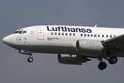 Lufthansa Boeing 737-530 (D-ABIK) at  Hamburg - Fuhlsbuettel (Helmut Schmidt), Germany