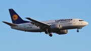 Lufthansa Boeing 737-530 (D-ABIL) at  Frankfurt am Main, Germany