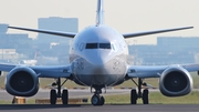 Lufthansa Boeing 737-530 (D-ABIL) at  Frankfurt am Main, Germany